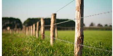 Barbed wire fence.