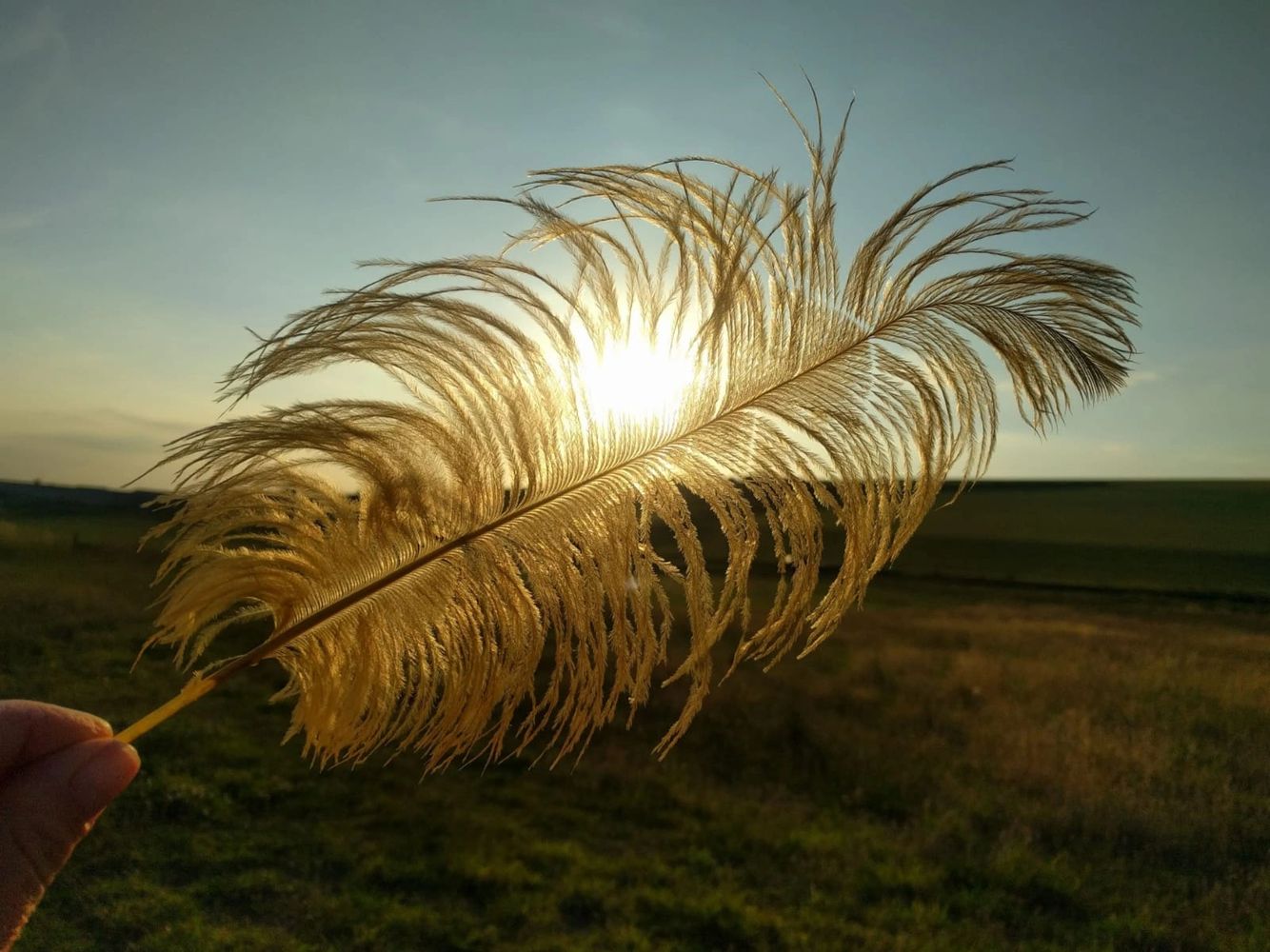 image971