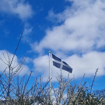 St Pirans flag
