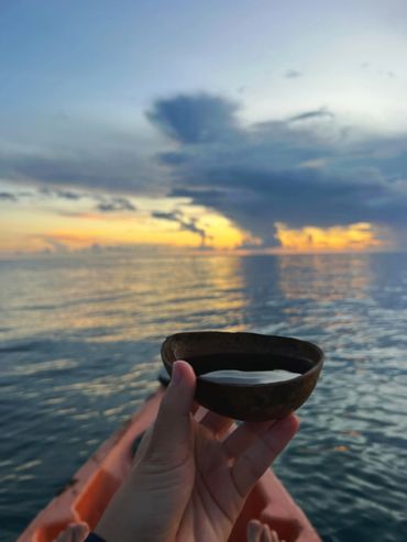 Organic Chocolate Sunrise Kayak Cahuita National Park Costa Rica