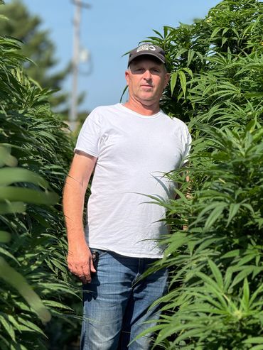 Man wearing a white shirt and cap standing among tall green plants.