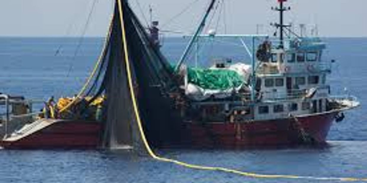Purse Seine Tuna Fishing Boat