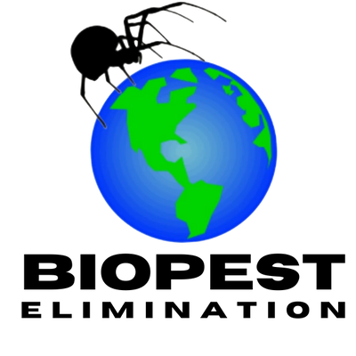 Henderson Pest Control
Las Vegas Pest Control
Boulder City
Pest Control
Exterminator
Pest Services