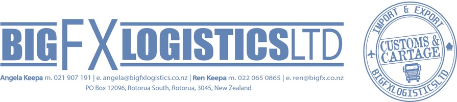 Big FX Logistics Ltd