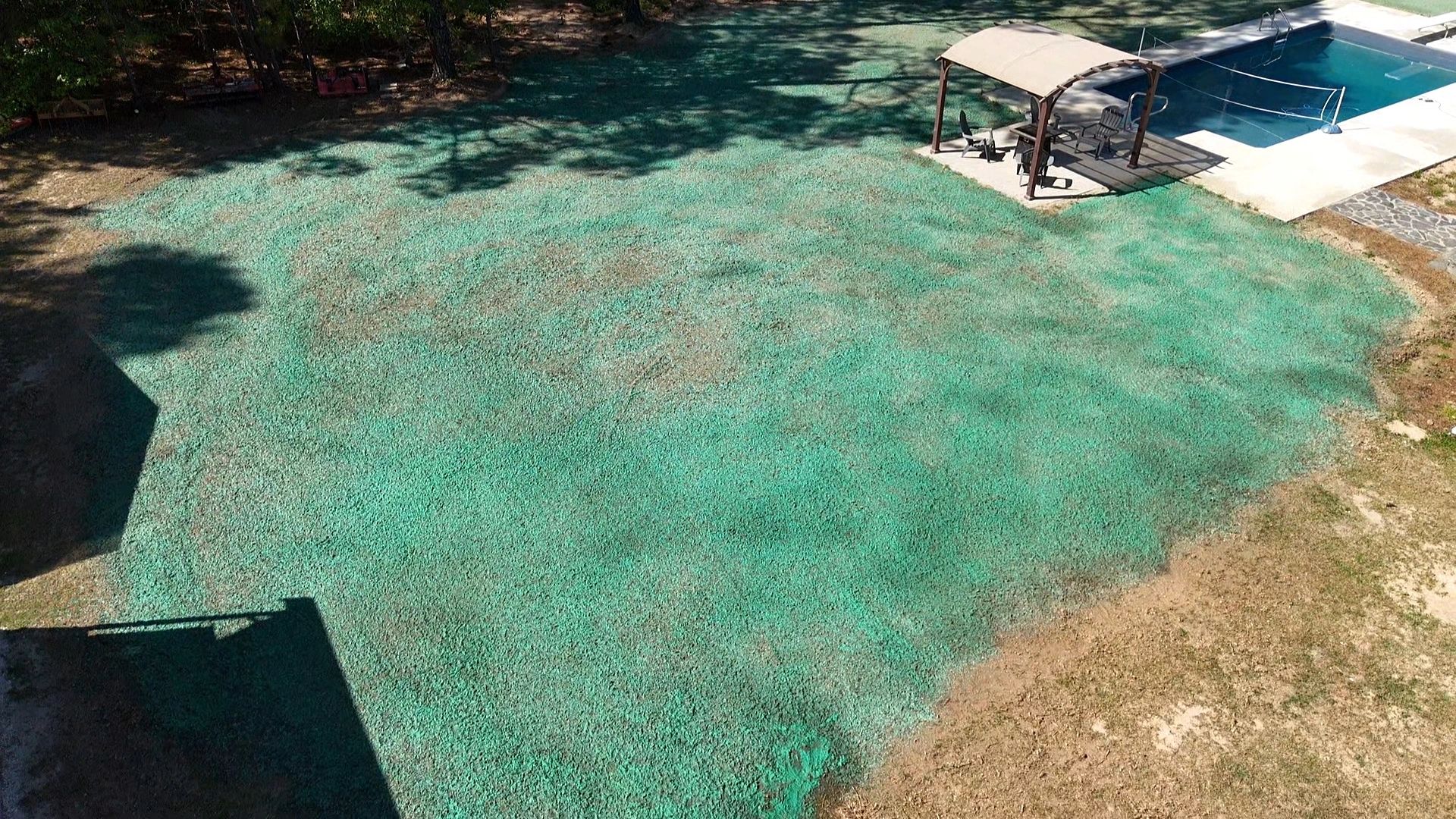 Freshly hydroseeded lawn next to a pool with shaded patio area.