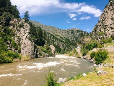 Fly fishing Madison River below Madison Dam near Ennis, Montana.