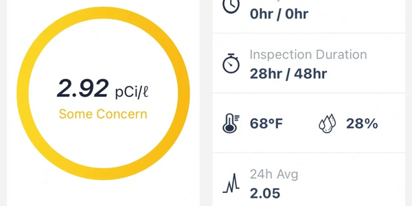 Radon 48-72 hour professional test