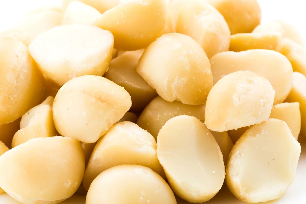 MACADAMIA NUTS