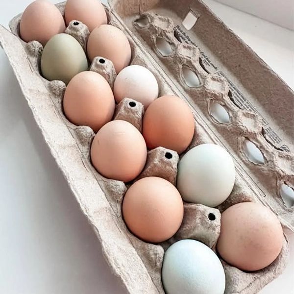 Cultivate Farm in Greene County in East Tennessee. Providing fresh flowers, farm fresh eggs and a g