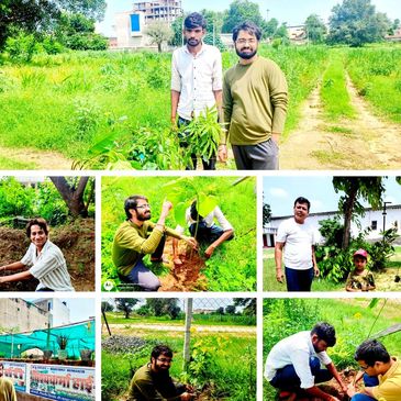 Plantation campaign