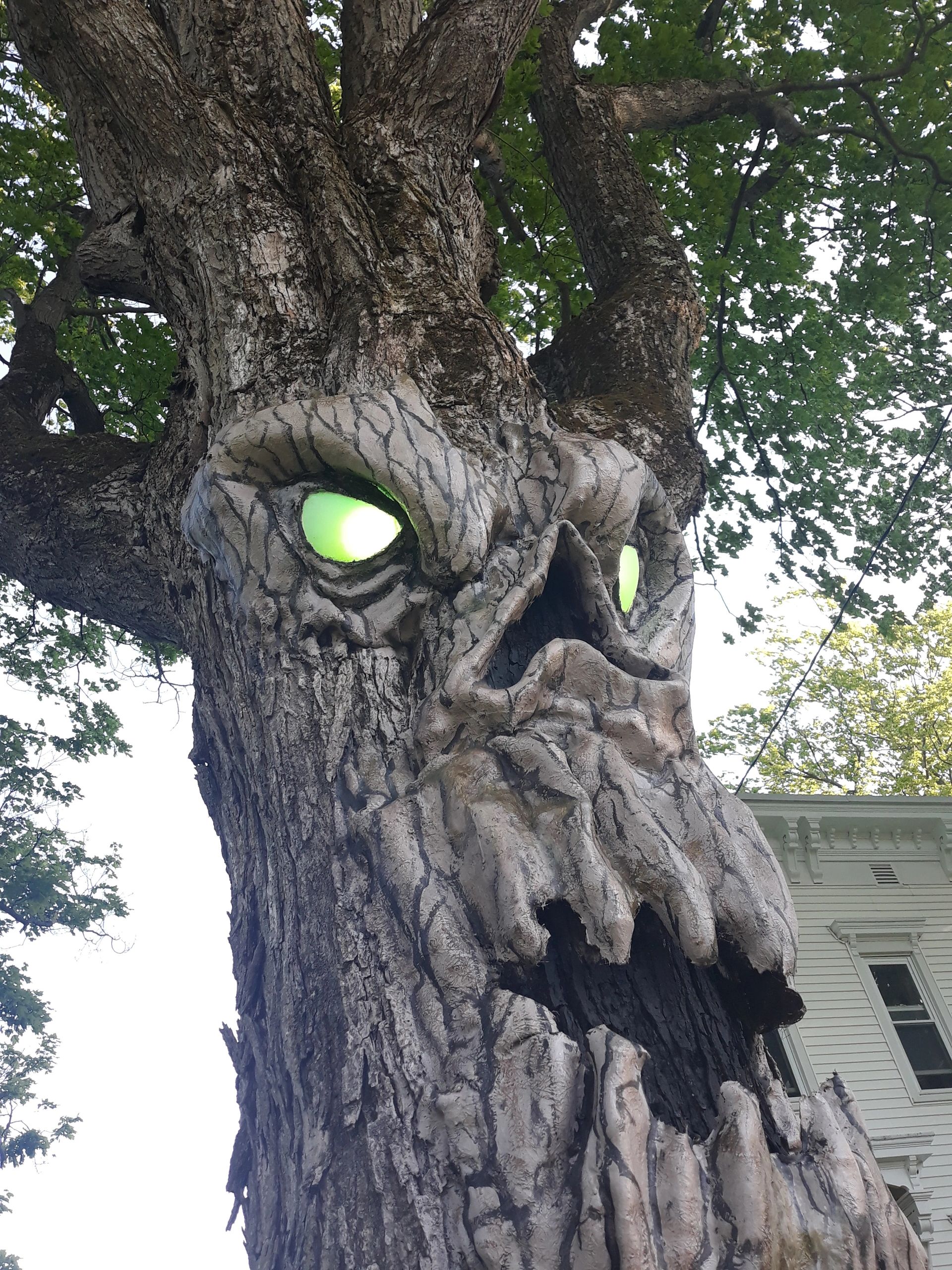 tree carving and sculptures for Clifton Park, Albany, Saratoga, Lake George, and most of Upstate NY.