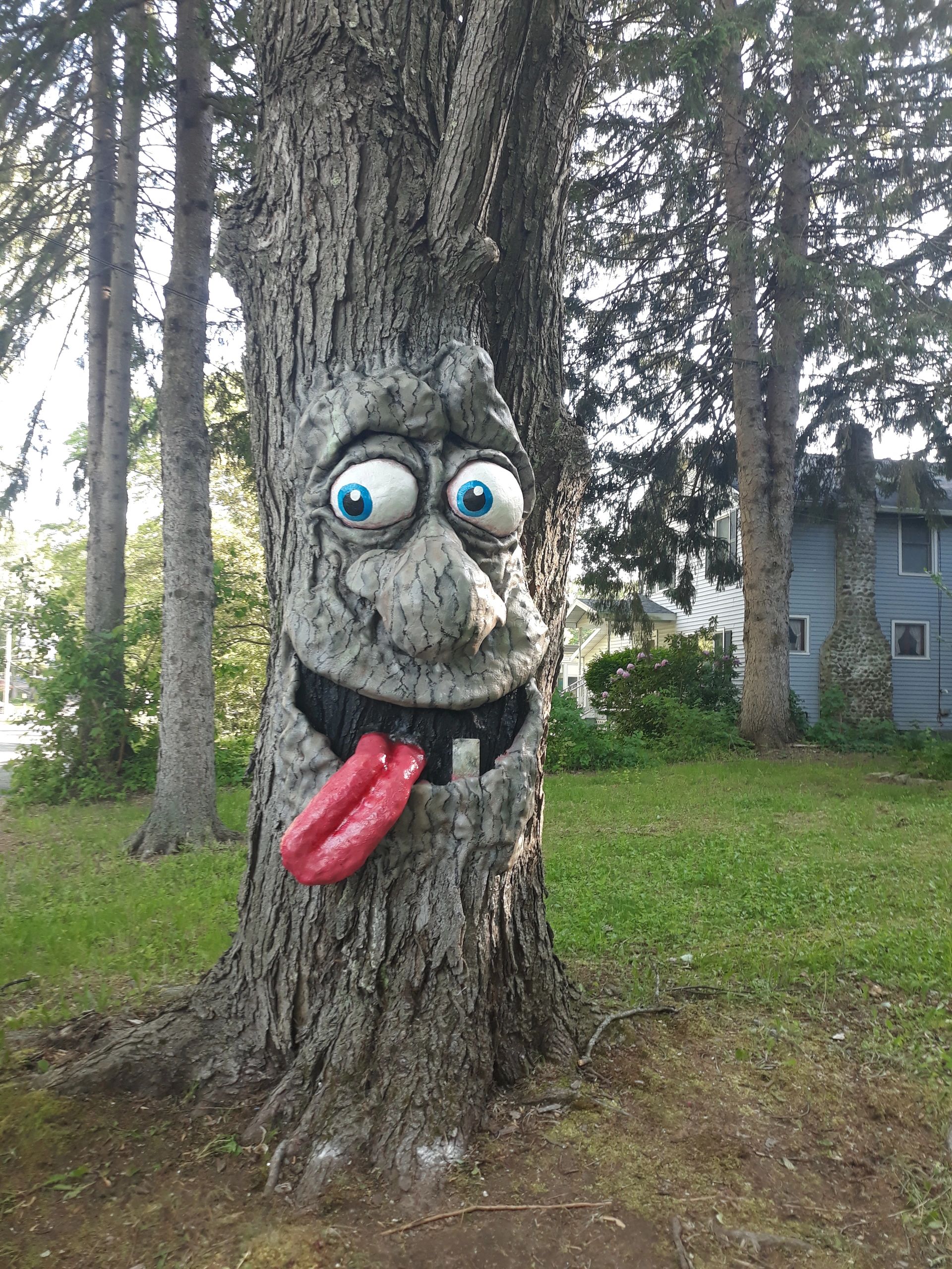 Goofy tree faces created on sight in Saratoga NY, Albany NY, Clifton Park NY, and Delmar NY,