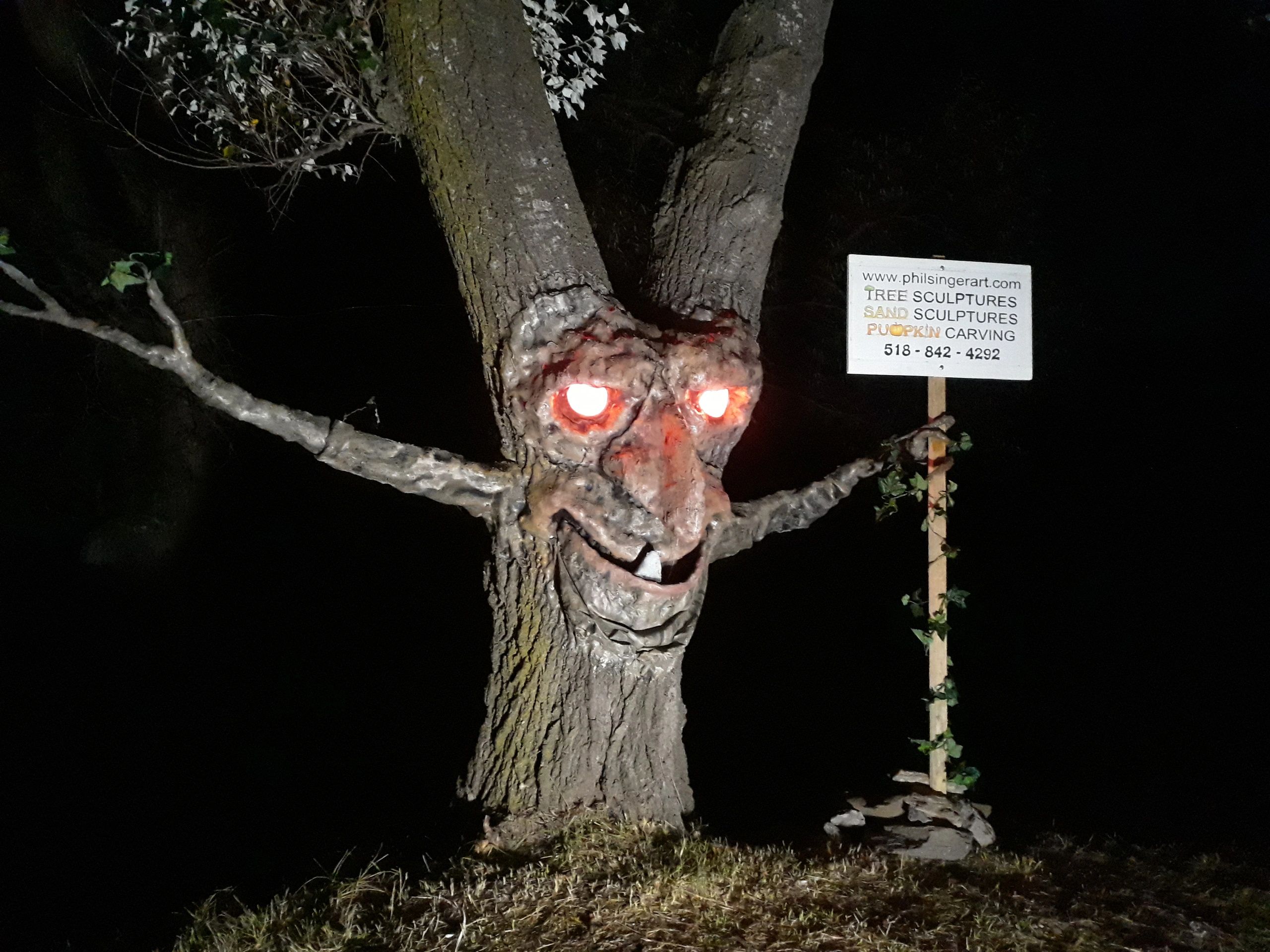 Tree sculpture on living trees in Albany NY, Amsterdam NY, Lake George NY, and Saratoga NY