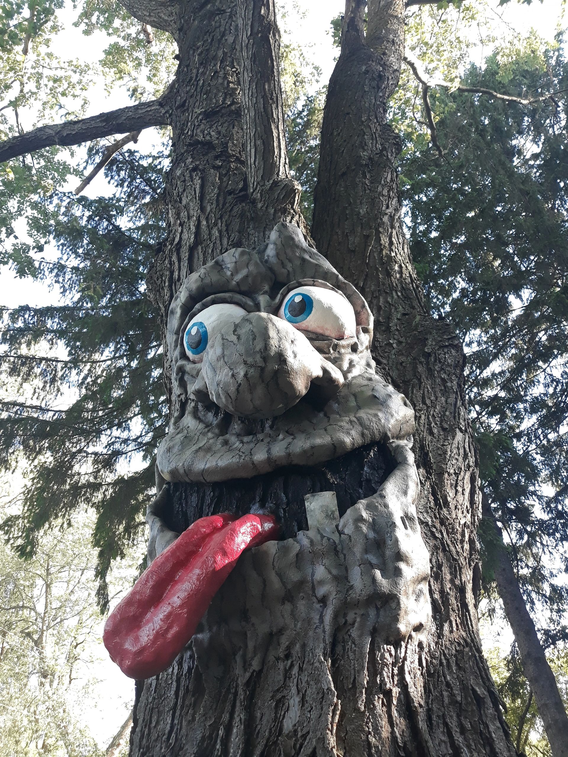 Goofy tree faces created on sight in Saratoga NY, Albany NY, Clifton Park NY, and Delmar NY,
