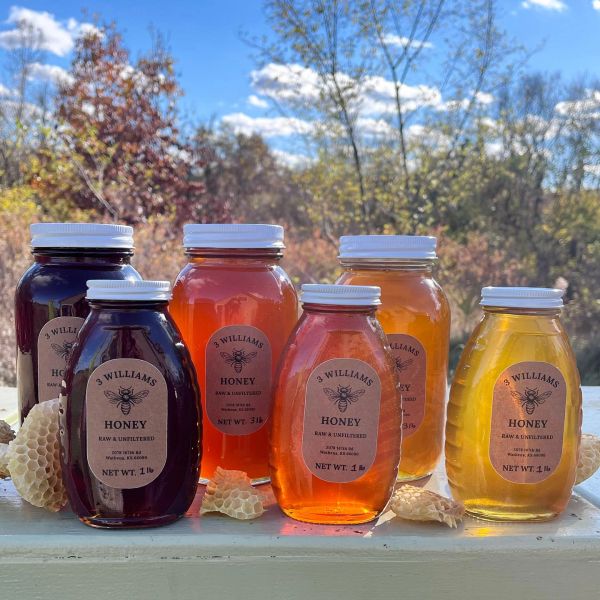 Various jars of honey with honeycombs in natural light.