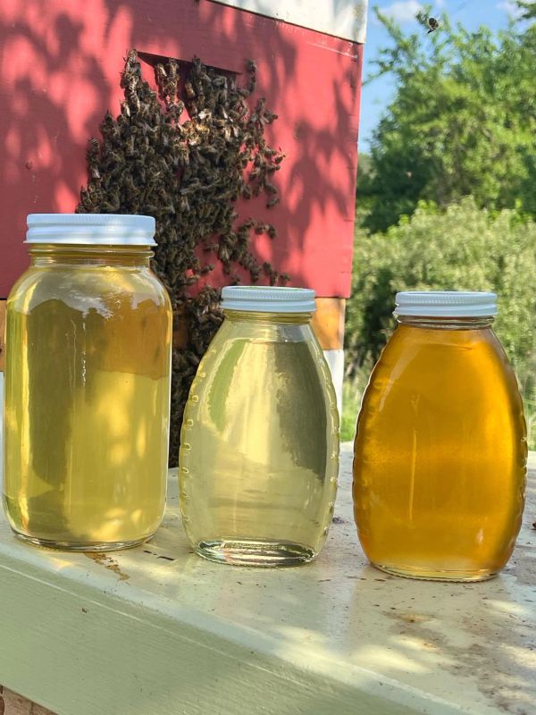Three jars of honey with bees on a hive in the background.
