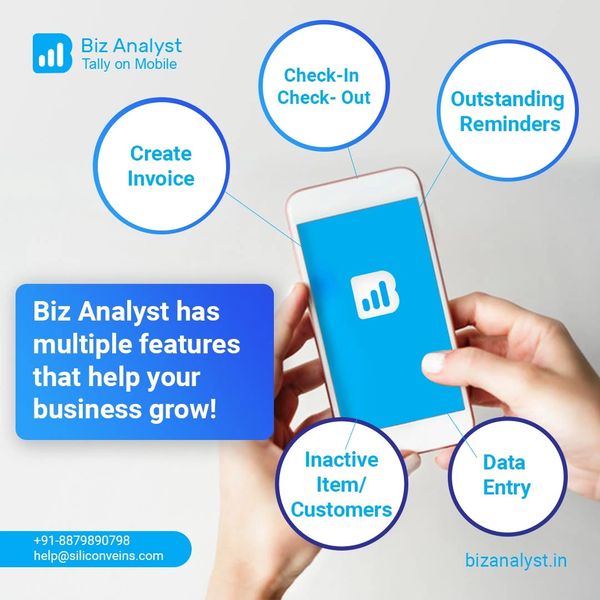 Biz Analyst mobile app features for business growth.