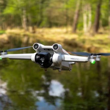 dji mini 3 pro a volare nel mezzo della palude