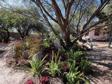 A sunny garden with trees, ferns, and red flowers surrounding a large tree trunk.