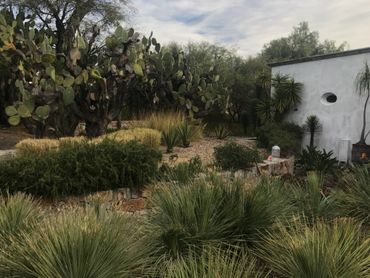 A lush garden with cacti, shrubs, and a white building under a cloudy sky.