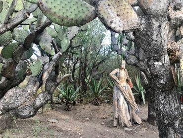 Wooden statue of a woman under cactus trees in a desert setting.