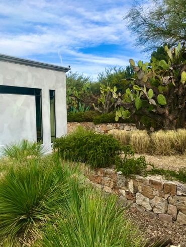 Modern house with desert landscaping featuring cacti and stone walls under a blue sky.