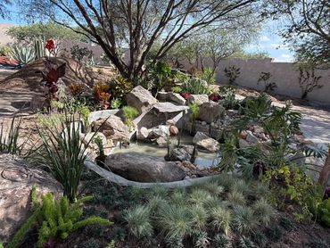 A tranquil garden pond surrounded by rocks and lush greenery under a clear sky.