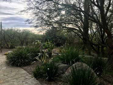 A serene garden pathway surrounded by various green plants under a cloudy sky.