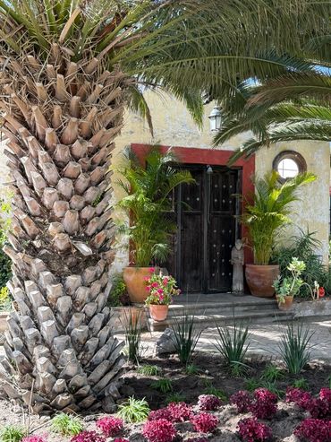 A rustic doorway framed by palm trees and vibrant flowers in a sunny garden.
