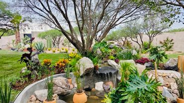 A serene backyard garden with a small waterfall and diverse plants.