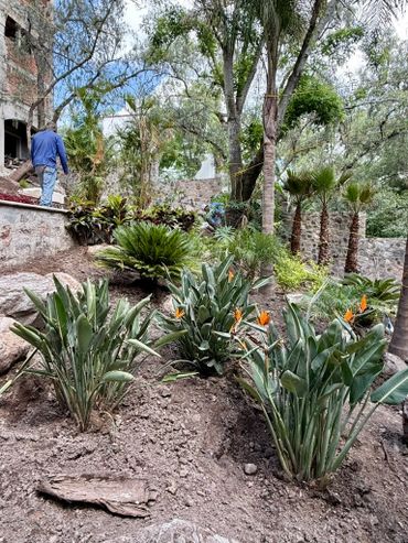 A garden with tropical plants and two people walking near a stone wall.