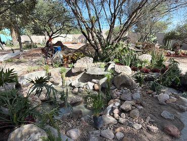 A serene backyard garden with rocks, plants, and a small pond under a clear sky.