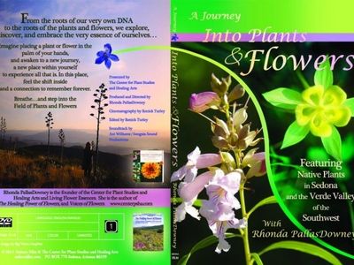 A journey into plants and flowers