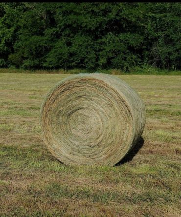 Hay Bundle