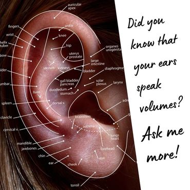 Auriculotherapy Ear Acupuncture