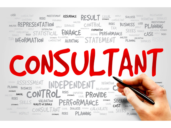 consulting consultant
