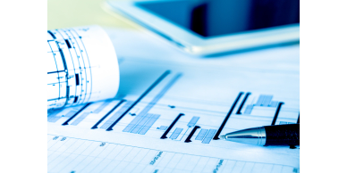 PROJECT AND PROGRAM MANAGEMENT