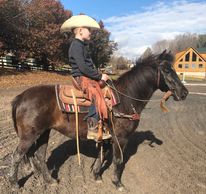 Shadow, Currently Available!