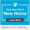 Need Help Rehoming your pet? Check out Rehome by Adopt-a-Pet