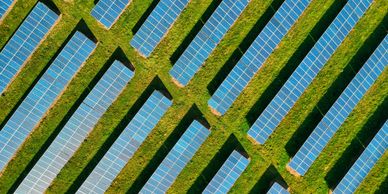 solar panels, sustainability experts, decarbonisation