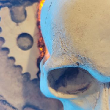 High resolution close up of the porous bone fossil texture