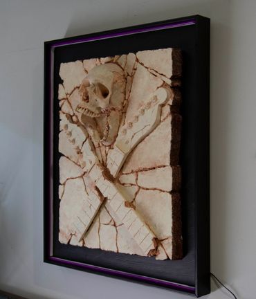 Heavy Rock fossil skull and guitar cross bones. LED lighting and custom framing.
