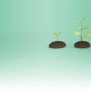 We can prepare a prfessional  Business for you