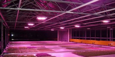 Green house lighting, Electrician, Wilmington, Delaware