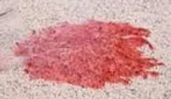 Red wine spilled on light colored carpet