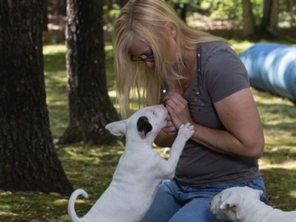 Heidi Clayton with puppies during puppy training
