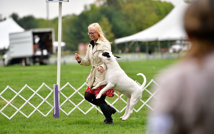 Heidi with show dog