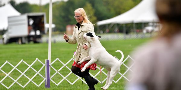 Heidi at a dog show with her well trained dog