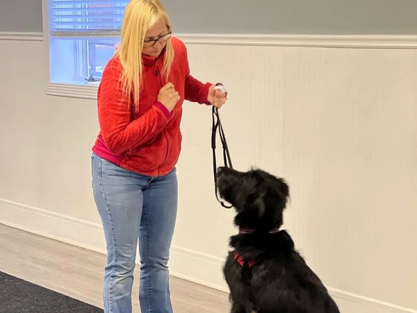 Heidi teaching dog to sit during dog training