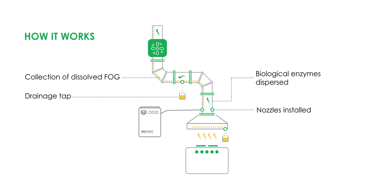 How the bio-vent system works inside your kitchen extraction system to continuiously clean FOG.